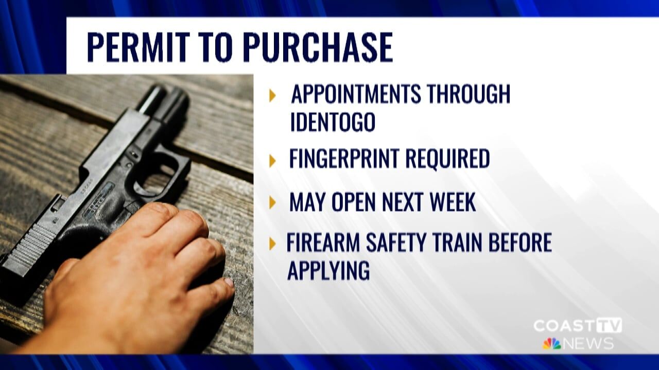Delaware opens fingerprint scheduling for new handgun permit applications